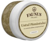 UNGUENT UNTUL PAMANTULUI 50ML