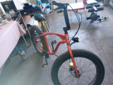 Bicicleta fat bike Pegas aluminiu