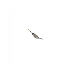 Figurina Narwhal XL Collecta