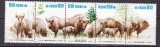 Polonia 1981 fauna zimbri MI 2764-2760 MNH