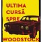 Ultima Cursa Spre Woodstock, Colin Dexter - Editura Art