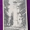 Carte Postala circulata, veche datata 1958 - VATRA DORNEI - IZVORUL BURCUT