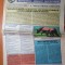ziarul romania mare 28 iulie 2000