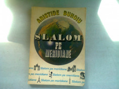 SLALOM PE MERIDIANE - ARISTIDE BUHOIU foto