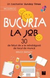 Cumpara ieftin Bucuria la job. 30 de feluri de a te re&icirc;ndrăgosti de locul de muncă