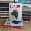 Poneiul dintre zapezi - Susanna Bailey, 2024 - Carte copii, Booklet Fiction, 257 pagini