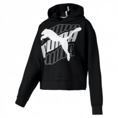 Bluza Puma MODERN SPORT HOODY foto