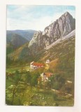 RF87 - Carte Postala - Muntii Apuseni, Cheile Rimetului, circulata 1986