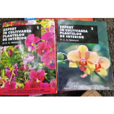 D. G. Hessayon - Expert in cultivarea plantelor de interor Vol 1 si 2