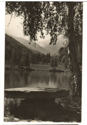 CPIB 19217 CARTE POSTALA - MUNTII FAGARAS. PEISAJ IN VALEA SAMBETEI foto