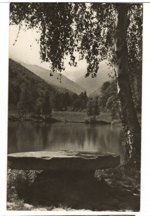 CPIB 19217 CARTE POSTALA - MUNTII FAGARAS. PEISAJ IN VALEA SAMBETEI