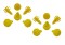 Foto  - 1