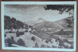 Carte postala, C. Lung-Muscel, drumul spre Bran