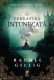 O fereastră &icirc;ntunecată (Vol. 1) - Paperback brosat - Rachel Gillig - Storia Books