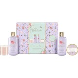 Baylis &amp; Harding Royale Garden Lavender &amp; Rose Hip Tea set cadou