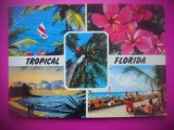 HOPCT 7631 TROPICAL FLORIDA -SUA-AMERICA DE NORD -CIRCULATA