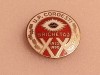 Insigna minerit - BRICHETAJ - U.P. COROESTI 1970-1990 - email