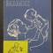 Școala mamei - N. N. Gheorghiu, V. Petrescu-Coman