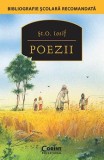 POEZII (St. O. Iosif), Corint