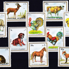 DB1 Fujeira Fauna domestica Animale de curte 10 v. MNH