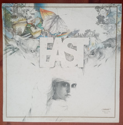 LP (vinil vinyl) EAST - Hűs&amp;eacute;g (EX) foto