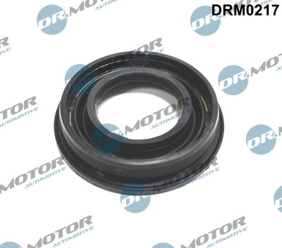 Etansare, Suport Injector 243951 DRM0217 foto