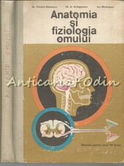 Anatomia Si Fiziologia Omului - Viorica Stanescu, A. Andronescu, I. Mihailescu foto