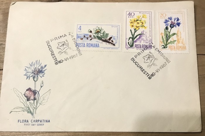 (1) Maxima prima zi, Romania Flori