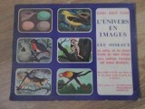 L&#039;UNIVERS EN IMAGES, LES OISEAUX-COLECTIV-229247