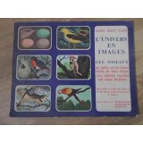 L&#039;UNIVERS EN IMAGES, LES OISEAUX-COLECTIV-229247