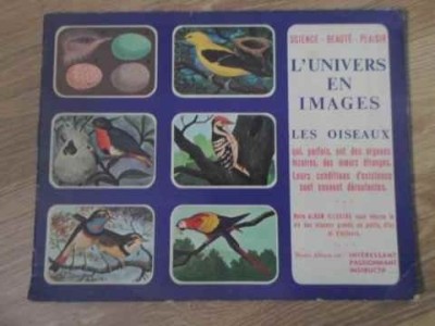 L&amp;#039;UNIVERS EN IMAGES, LES OISEAUX-COLECTIV-229247 foto