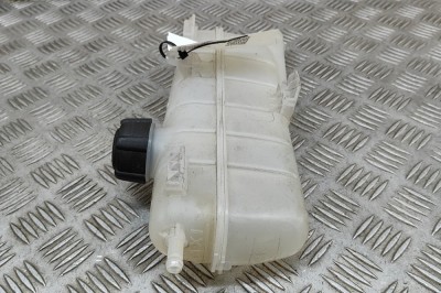 Vas de expansiune RENAULT ZOE BFM_ 2020 OEM: 217101652R 25833080 foto