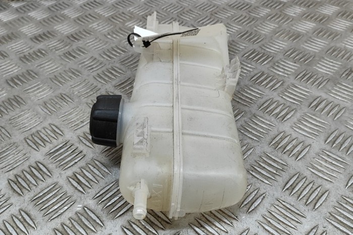 Vas de expansiune RENAULT ZOE BFM_ 2020 OEM: 217101652R 25833080