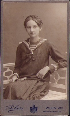 HST M85 Poză t&amp;acirc;nără CDV foto