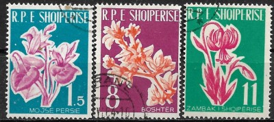 B0143 - Albania 1961 - Flora,serie 3v.stampilat-cto foto