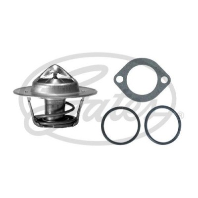 Gates termostat, lichid racire foto