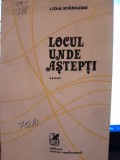 LOCUL UNDE ASTEPTI - LIDIA STANILOAE