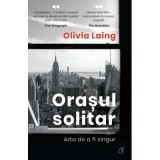 Orasul solitar. Arta de a fi singur - Olivia Laing