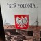 Inca Polonia - Nicolae Mares