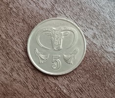 C50 - Moneda foarte veche - Cipru - 5 centi - 1988