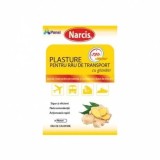 PLASTURE PENTRU RAU TRANSPORT CU GHIMBIR 20BUC