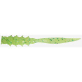 Cumpara ieftin Naluca Jackall Good Meal Skinny, culoare Hot Lime Glow Chartreuse, 5cm, 8buc/plic