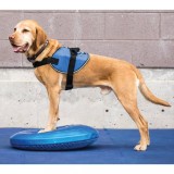FitPAWS Disc de echilibru pentru animale de companie, albastru, 36 cm