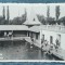 26 - Baile Felix furdo - uszoda / Oradea Nagyvarad jud. Bihor / carte postala