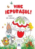 Vine Iepurașul! - Paperback brosat - *** - Didactica Publishing House