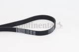 CONTINENTAL CTAM 6PK1836 Curea transmisie cu caneluri