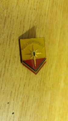 QW9 J 88 - Insigna - tematica pionieri - Roza vanturilor locul 1 foto