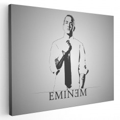Tablou afis Eminem cantaret rap 2329 Tablou canvas pe panza CU RAMA 70x100 cm