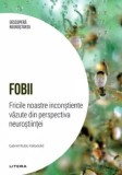 Fobii. Fricile noastre inconstiente vazute din perspectiva neurostiintei/Gabriel Rubio Valladolid