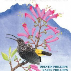 Phillipps' Field Guide to the Birds of Borneo: Sabah, Sarawak, Brunei, and Kalimantan